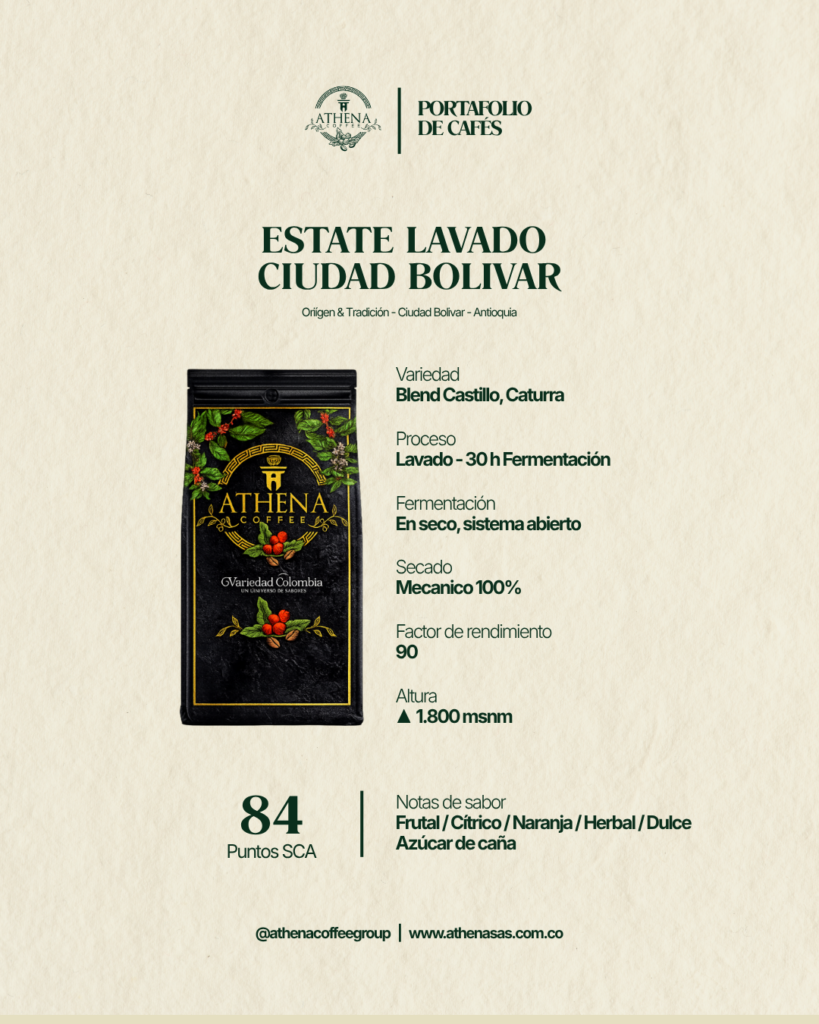 fondo blanco - ATHENA COFFEE