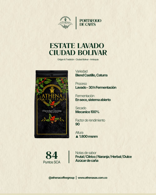 fondo blanco - ATHENA COFFEE